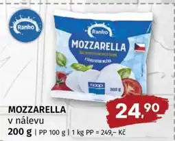 Terno MOZZARELLA v nálevu nabídka