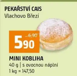 Terno Mini kobliha nabídka