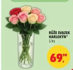 Penny Market Růže svazek harlekỳn nabídka