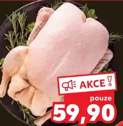 Kaufland Kachna s droby nabídka