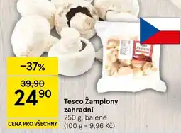 Tesco Tesco Žampiony zahradní nabídka