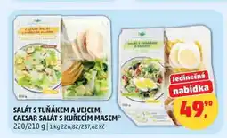Penny Market SALÁT S TUŇÁKEM A VEJCEM nabídka