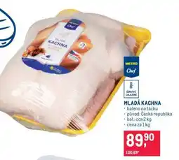 Makro MLADÁ KACHNA nabídka