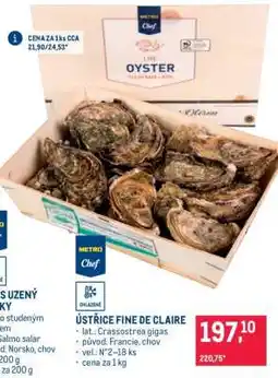 Makro Ústřice Fine de Claire nabídka