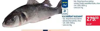 Makro Vlk mořský kuchaný nabídka