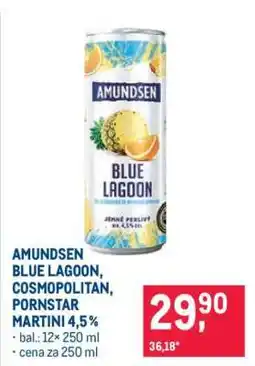 Makro AMUNDSEN BLUE LAGOON, COSMOPOLITAN, PORNSTAR MARTINI 4,5% nabídka