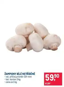 Makro Žampiony bílé netříděné nabídka