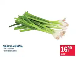 Makro CIBULKA LAHŮDKOVÁ nabídka