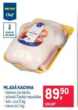 Makro MLADÁ KACHNA nabídka