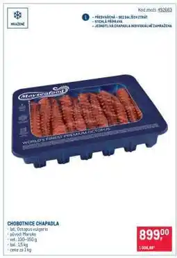 Makro CHOBOTNICE CHAPADLA nabídka