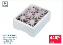 Makro Baby chobotnice nabídka