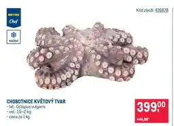 Makro Chobotnice květový tvar nabídka