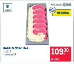 Makro KAKTUS Zmrzlina nabídka