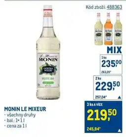 Makro MONIN LE MIXEUR nabídka