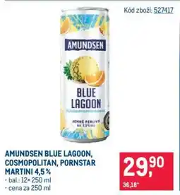 Makro AMUNDSEN BLUE LAGOON, COSMOPOLITAN, PORNSTAR MARTINI 4,5% nabídka