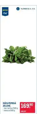 Makro MÁTA PEPRNÁ ZELENÁ nabídka
