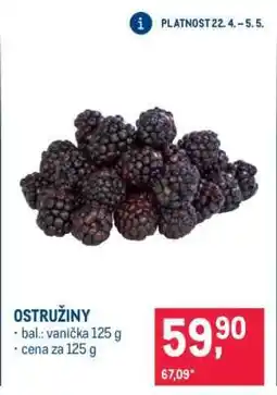 Makro Ostružiny nabídka
