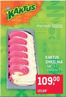 Makro KAKTUS Zmrzlina nabídka