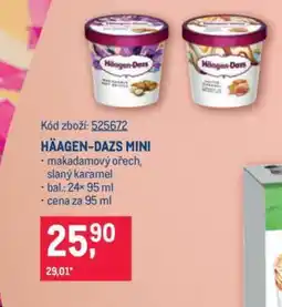 Makro HÄAGEN-DAZS MINI nabídka