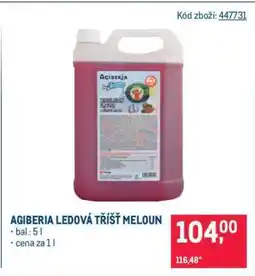 Makro AGIBERIA LEDOVÁ TŘÍŠŤ MELOUN nabídka