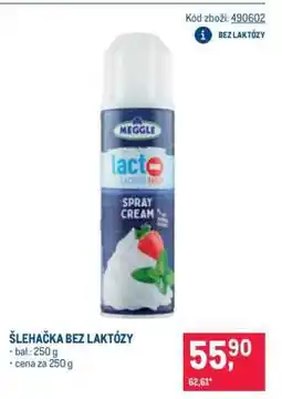Makro ŠLEHAČKA BEZ LAKTÓZY nabídka