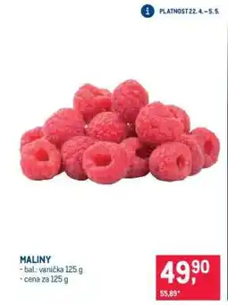Makro Maliny nabídka