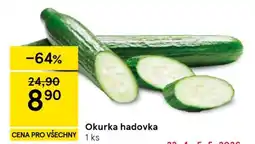 Tesco Okurka hadovka nabídka