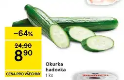 Tesco Okurka hadovka nabídka