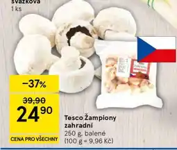 Tesco Tesco Žampiony zahradní nabídka