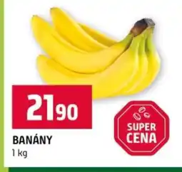 Terno Banány nabídka