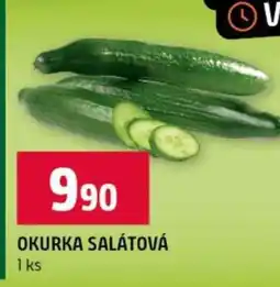 Terno OKURKA SALÁTOVÁ nabídka