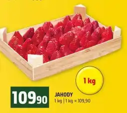 Terno Jahody nabídka
