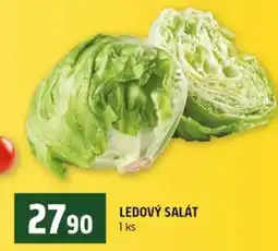 Terno Ledový salát nabídka