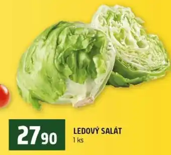 Terno Ledový salát nabídka