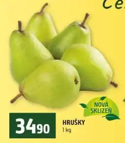 Terno HRUŠKY nabídka