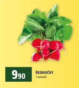 Terno Ředkvičky nabídka
