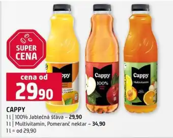 Terno Cappy nabídka