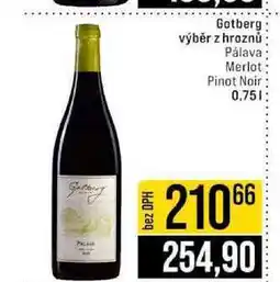 Jip Gotberg výběr z hroznů Pálava Merlot Pinot Noir nabídka