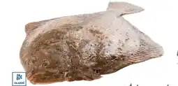 Makro Kambala velká nabídka