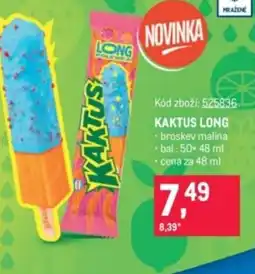 Makro Kaktus long nabídka