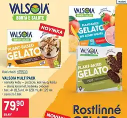 Makro Valsoia multipack nabídka