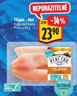 Albert Tilápie - filet nabídka