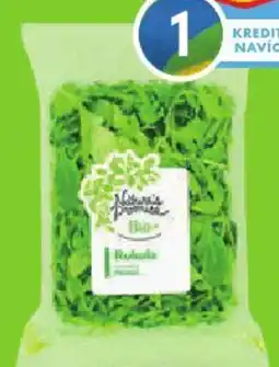 Albert Nature's Promise Bio Rukola nabídka