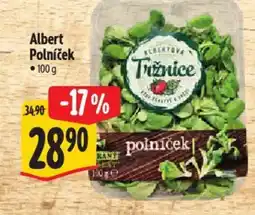 Albert Albert Polníček nabídka