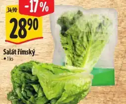 Albert Salát římský nabídka