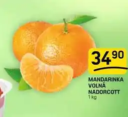 Flop MANDARINKA VOLNÁ NADORCOTT nabídka