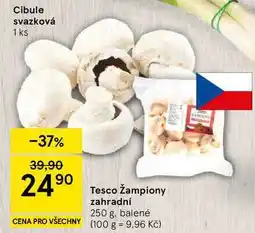 Tesco Tesco Žampiony zahradní, 250 g, balené nabídka