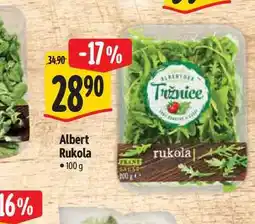 Albert Albert Rukola nabídka