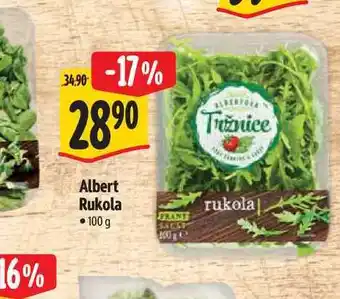 Albert Albert Rukola nabídka