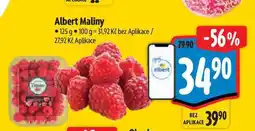 Albert Albert Maliny nabídka